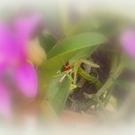 201508131505000
